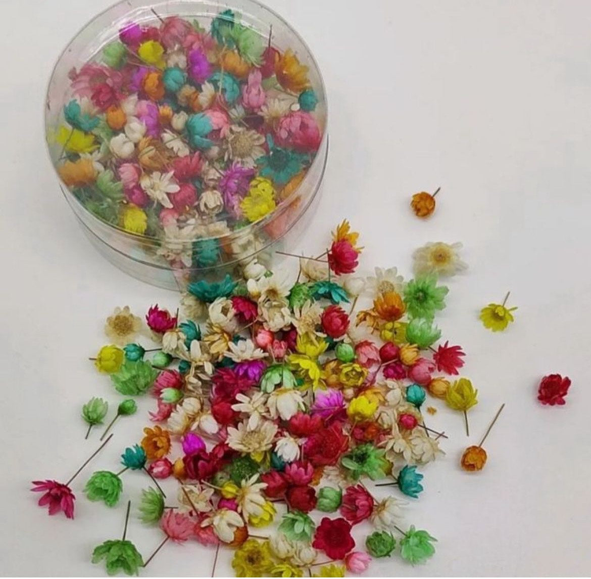 Colorful Small Flowers Box