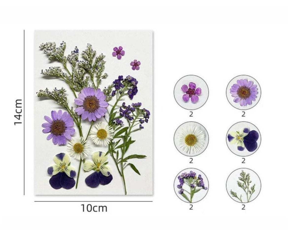 Premium Pressed On Flower Sheet