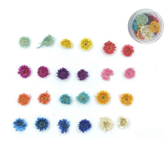 Mini Flowers Box