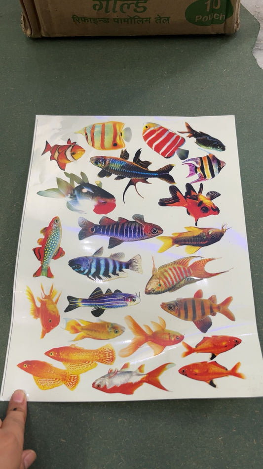 Colored Sticker Design 11