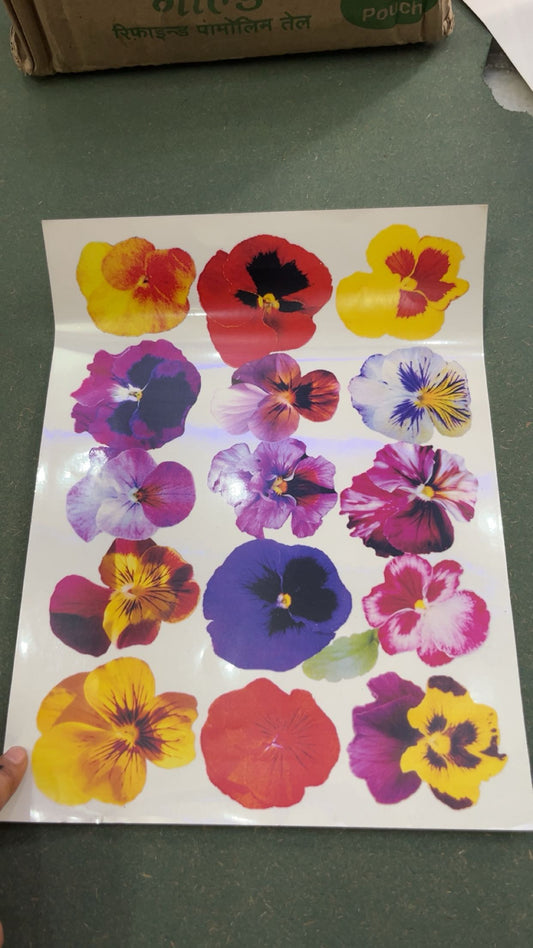 Colored Sticker Design 15